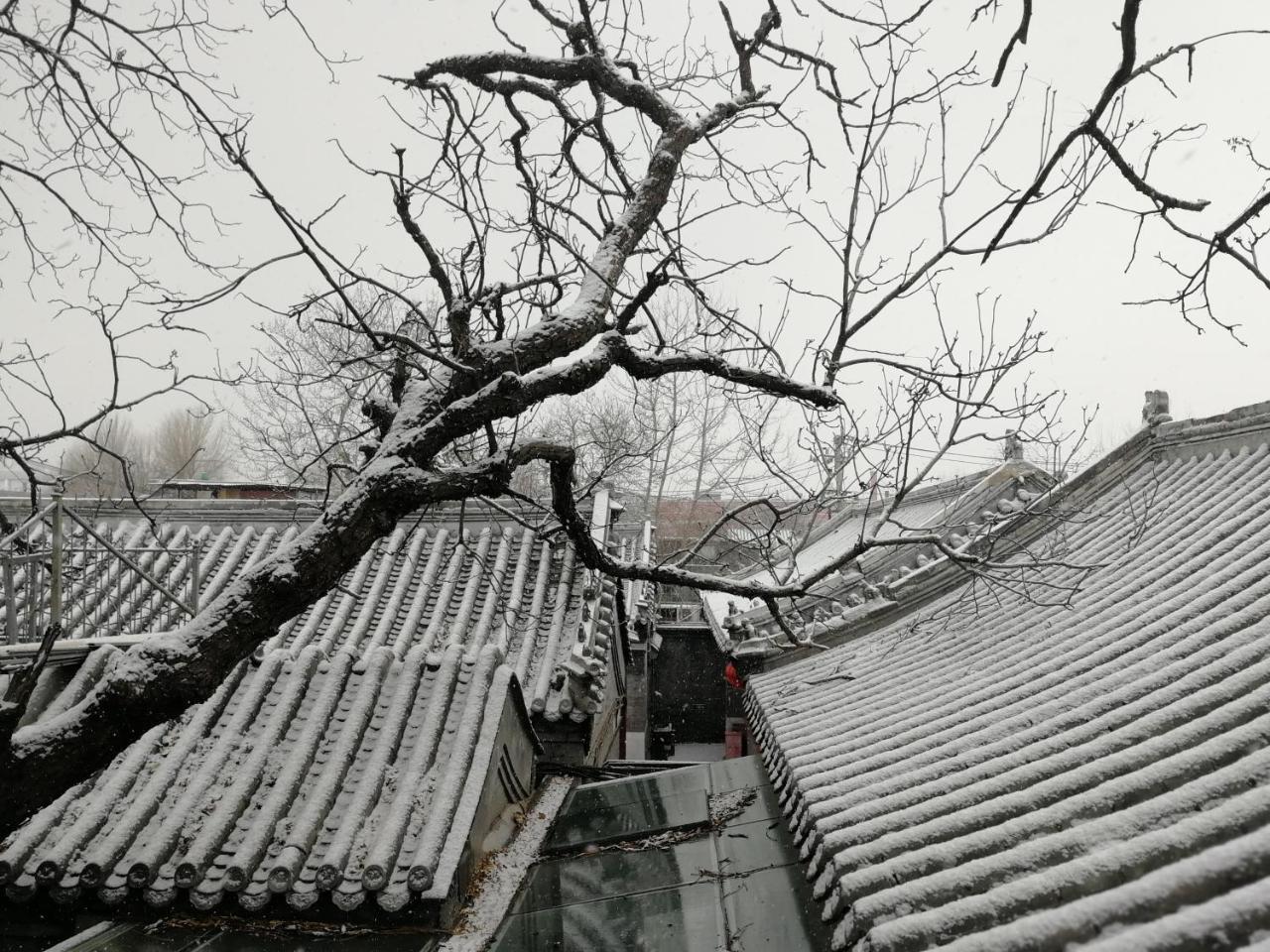 Beijing Fly By Knight Courtyard Hotel Exterior foto